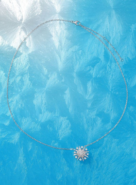 Witther925纯银满钻彗星项链女轻奢小众原创设计八芒星钻石锁骨链