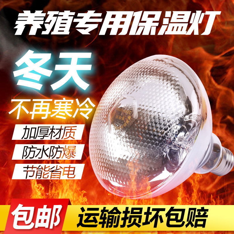 保温灯养殖场专用红外线仔猪小鸡养殖取暖加热灯泡兽用小猪保温灯,淘宝优惠券,粉丝福利购,淘宝优惠卷