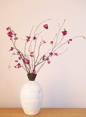 天然树枝紫色梅花几何陶瓷花瓶永生干花干干枝插花客厅玄关卧室