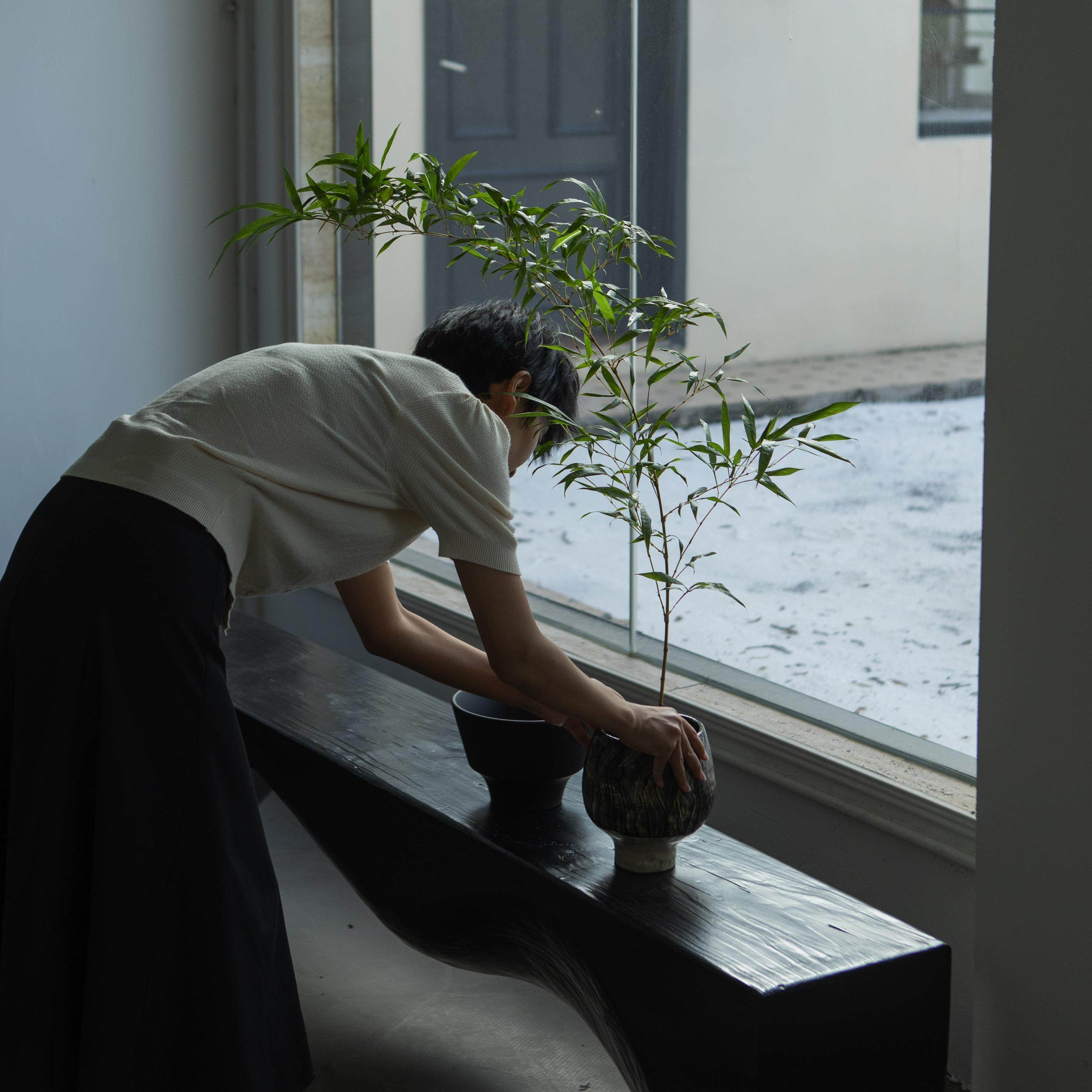 诗与自然 金丝竹子中式禅意风格绿植茶桌书房植物盆景小众景观,淘宝优惠券,粉丝福利购,淘宝优惠卷