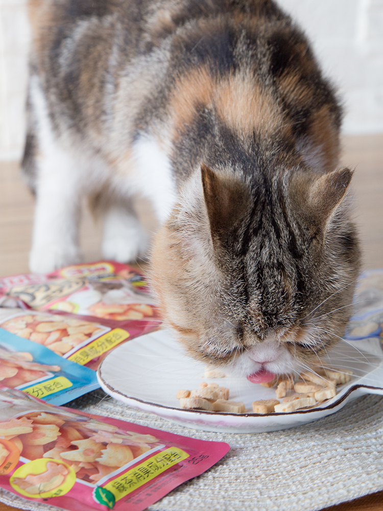 仁可宠物 伊纳宝妙好烤鱼多多烤鸡肉卷烤海鲜奖励猫咪零食猫饼干 - 图1