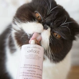 Renke Pets импортировал Junbao Malt Cream, Cat Ratting Ball Spat Шаровой ряд Mao Junbao Puit Paste Taurine