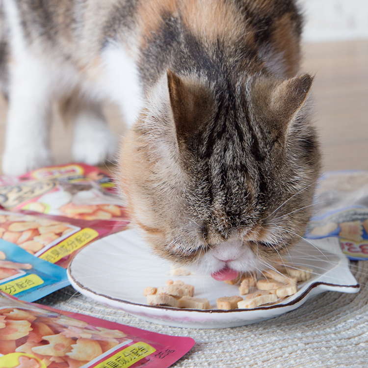 仁可宠物伊纳宝妙好烤鱼多多烤鸡肉卷烤海鲜猫零食宠物零食猫饼干 - 图2