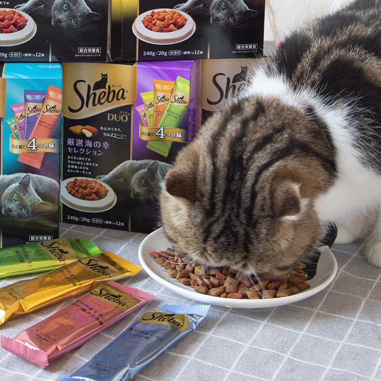 仁可宠物 sheba希宝夹心酥135g进口猫零食三文金枪鱼洁齿磨牙饼干 - 图2