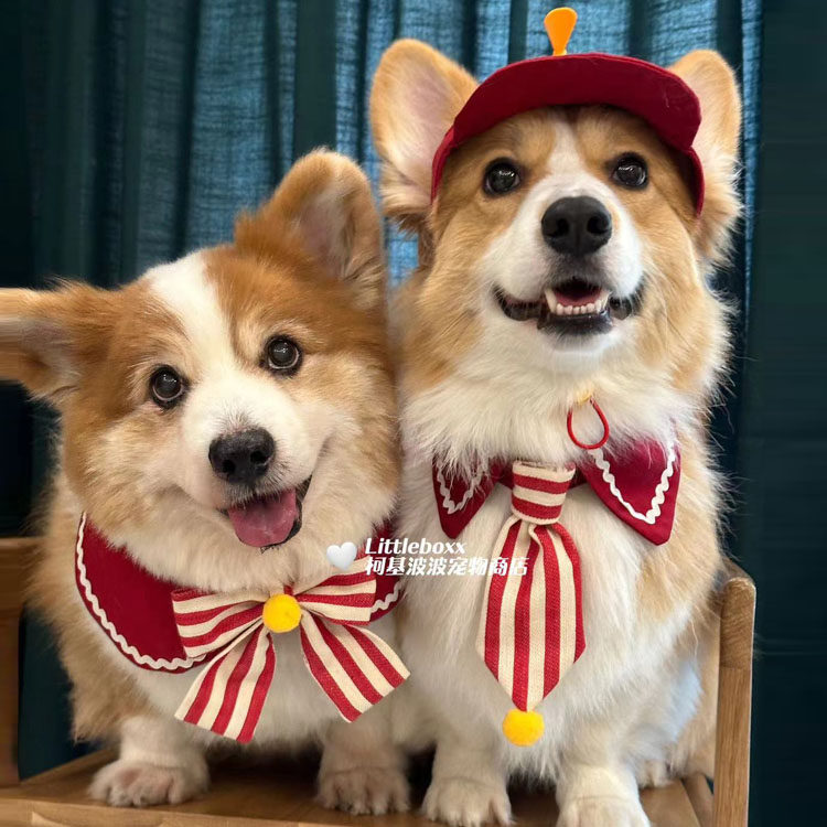 Liittleboxx柯基波波红白条毛球蝴蝶结围嘴口水巾小中大型犬围兜,淘宝优惠券,粉丝福利购,淘宝优惠卷