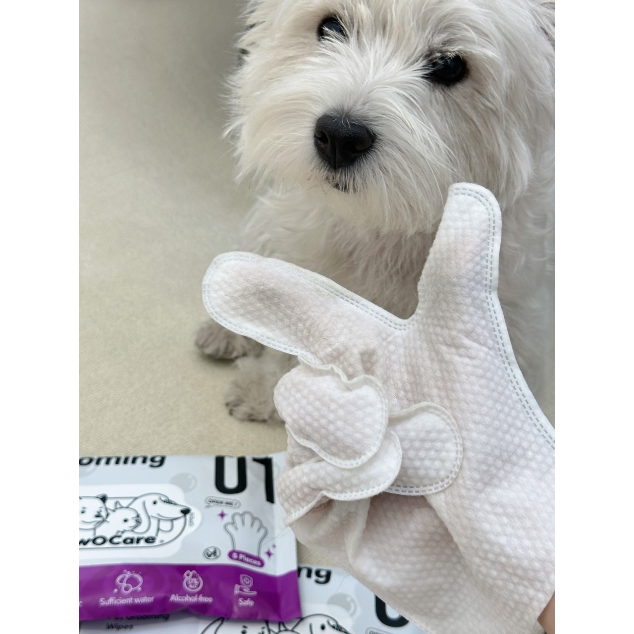 OwOCare宠物免洗手套狗狗猫咪干洗免洗擦身体成幼犬除臭清洁湿巾,淘宝优惠券,粉丝福利购,淘宝优惠卷