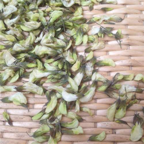 洋槐花干野生特价26年新河南特产槐花麦饭饼 新鲜刺槐花茶500克 - 图1