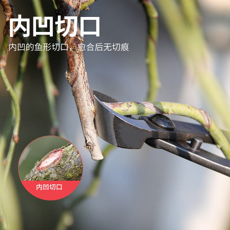 叉枝剪斜口剪斜切剪叉枝钳朱记专业盆景制作养护工具盆栽工具_虎窝淘