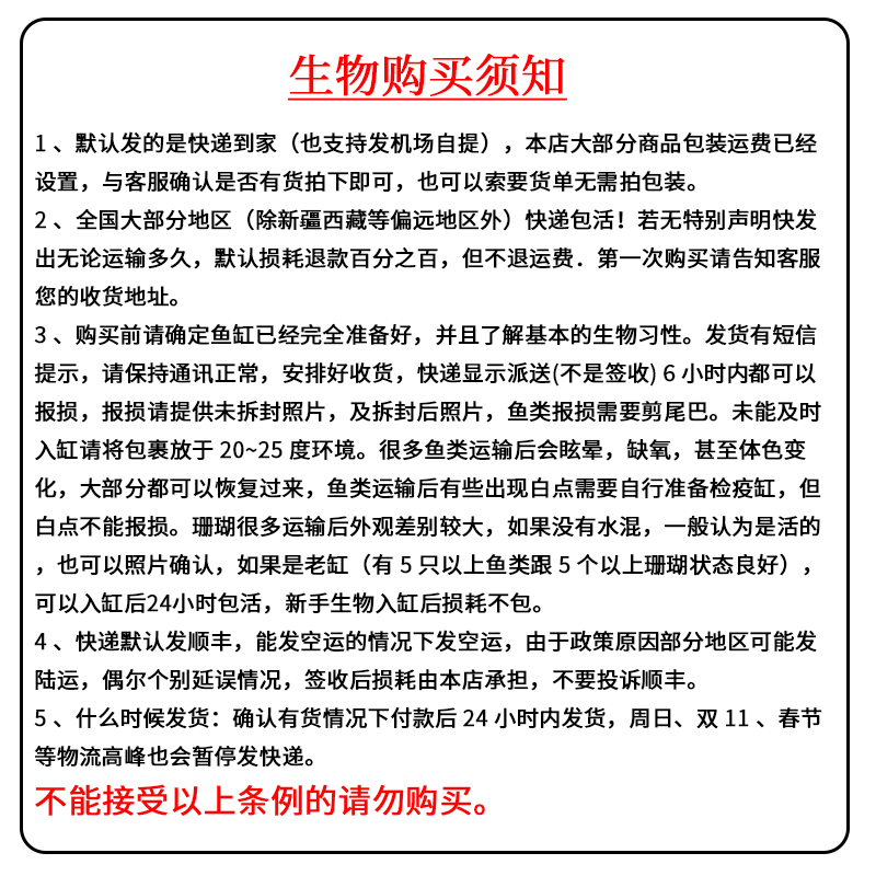 蓝眼吊活体海水观赏宠物鱼蓝眼波纹倒吊海缸吃藻除藻快递包活-图3