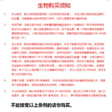 Flash Dragon Live Sea Waterfish Fish Six Line Dragon Dragon Red Dragon Red Dragon Coral Safe Safe Eat Cordyllaria