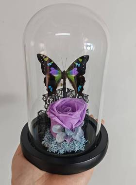 安东尼斯闪蝶真蝴蝶标本生态摆件手工生日礼物干花永生花暗黑玫瑰