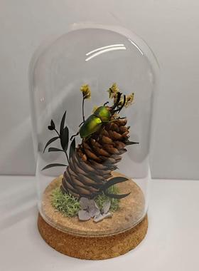 飞行宝石锹甲森林力士甲虫长牙标本昆虫男士手工永生花礼物玻璃罩