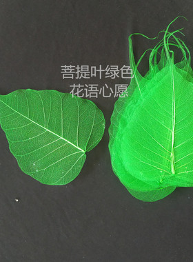 菩提叶 禅意叶脉 滤茶 摆画书签绘画装饰叶子 天然树叶花语心愿