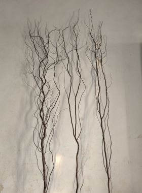 原生态自然天然树枝 带皮原色形态丰富造型独特云龙柳树枝干树枝