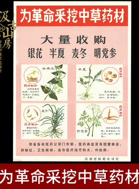 纸质中医文化展览展示