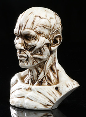 骷髅头美术绘画素描树脂工艺品