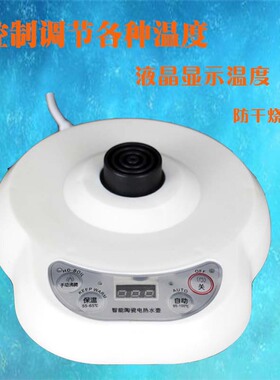 保温陶瓷防干烧泡茶电热水壶