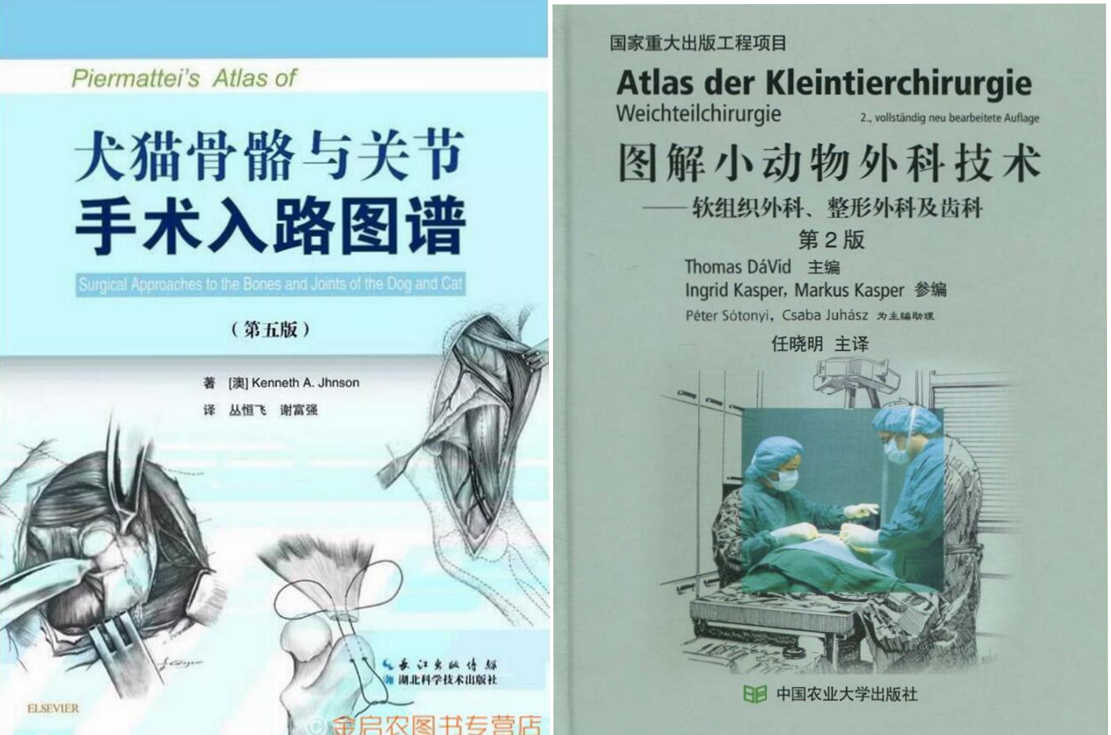 钩针图解犬 新人首单立减十元 21年9月 淘宝海外