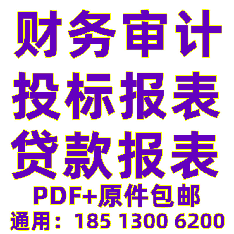 招投标财务报表贷款年度表excel会计事务所编制幼儿园资产负债表 - 图1