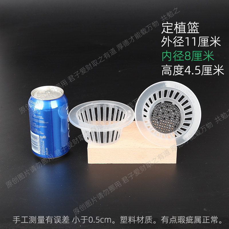 水培定植篮塑料半透明加深带海绵垫网水果蔬菜豆子种子瓶子容器皿,淘宝优惠券,粉丝福利购,淘宝优惠卷