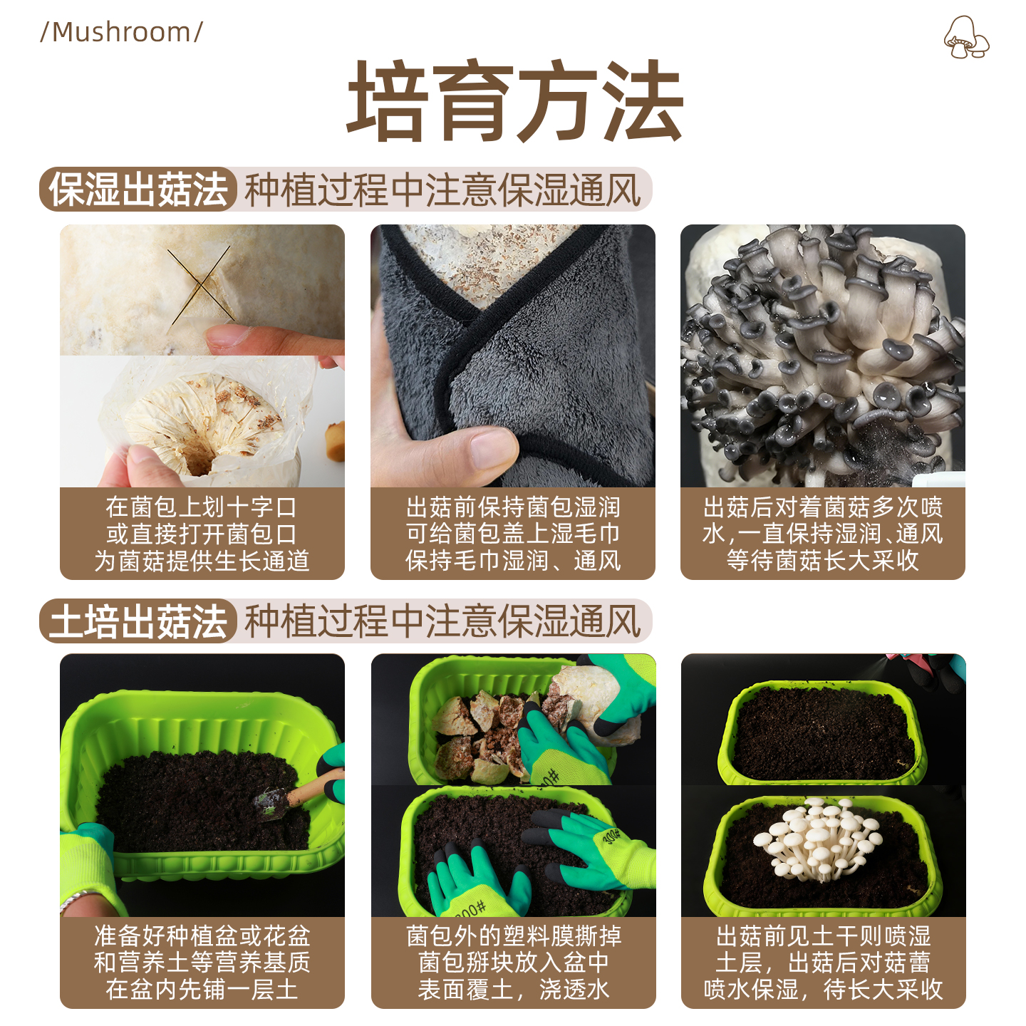 蘑菇大菌包平菇菌子菌棒家庭种植蘑菇菌包可食用盆栽阳台鸡枞种子 - 图2