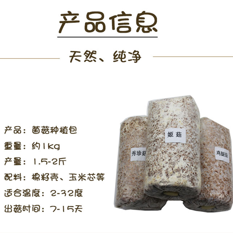 蘑菇大菌包平菇菌子菌棒家庭种植蘑菇菌包可食用盆栽阳台鸡枞种子 - 图0