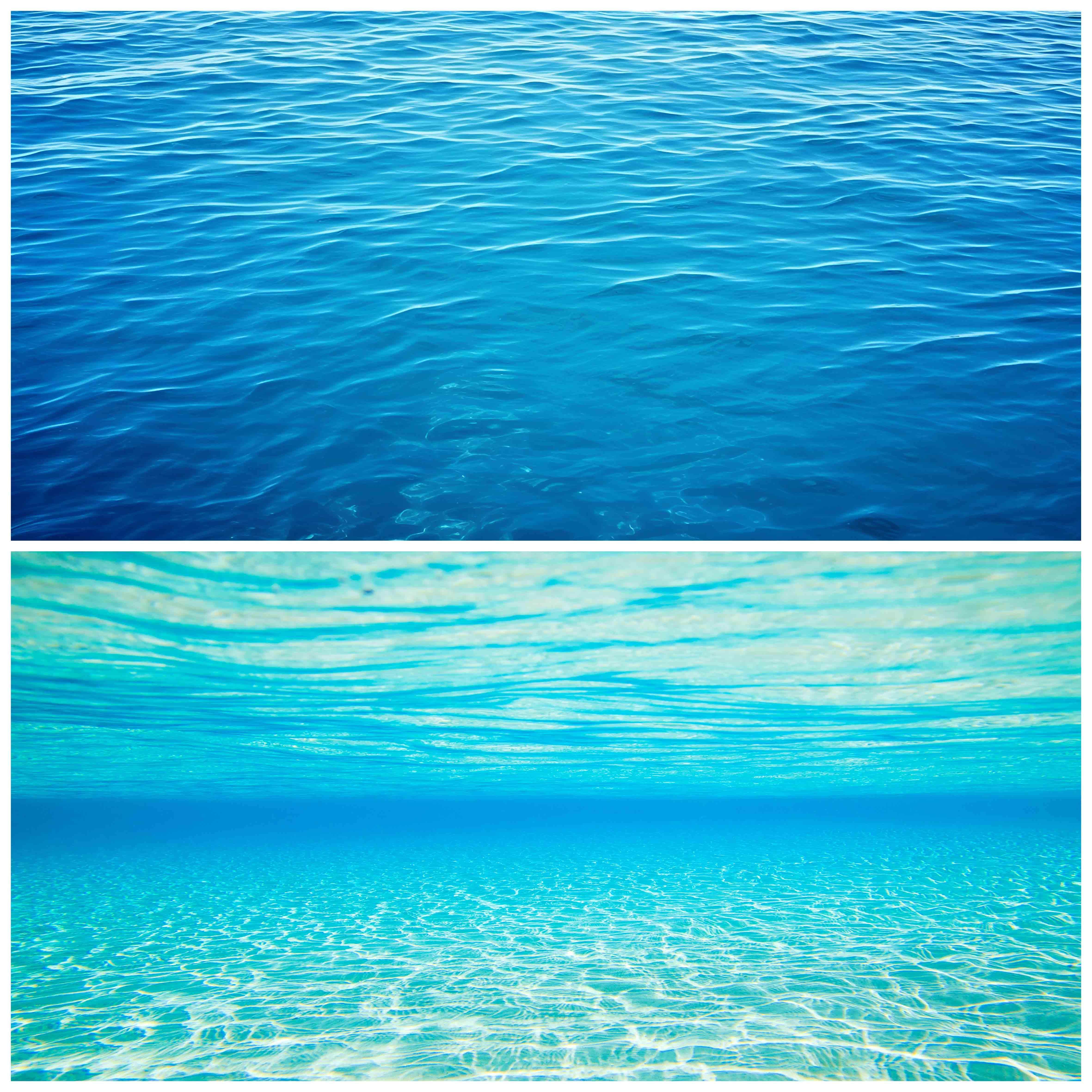 鱼缸背景贴画海底世界定制水族箱自粘缸外壁画海洋海水造景装饰贴,淘宝优惠券,粉丝福利购,淘宝优惠卷