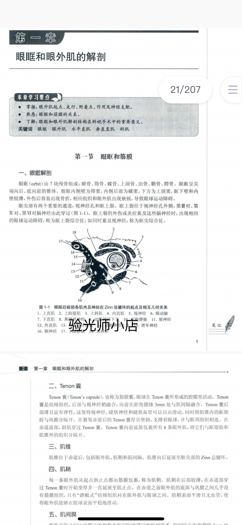 视光师初中级 眼视光学专业十三五 斜视弱视学 第三版 - 图1