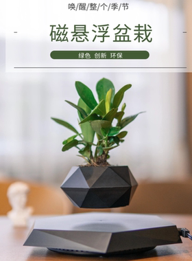 高品质磁悬浮花盆质量更好