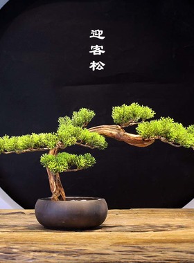 新中式客厅玄关仿真迎客松摆件