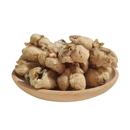 Сюэха искренний снежный моллюско