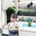 Áo sơ mi nữ tay ngắn 2019 mùa hè mới cho bé gái Phiên bản Hàn Quốc áo sơ mi nữ họa tiết bé yêu ngoại quốc - Áo sơ mi kinh doanh quần áo trẻ em Áo sơ mi
