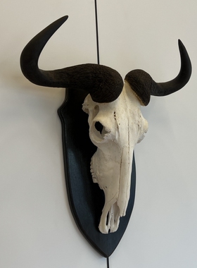 非洲角马挂件财虎标本真动物骨