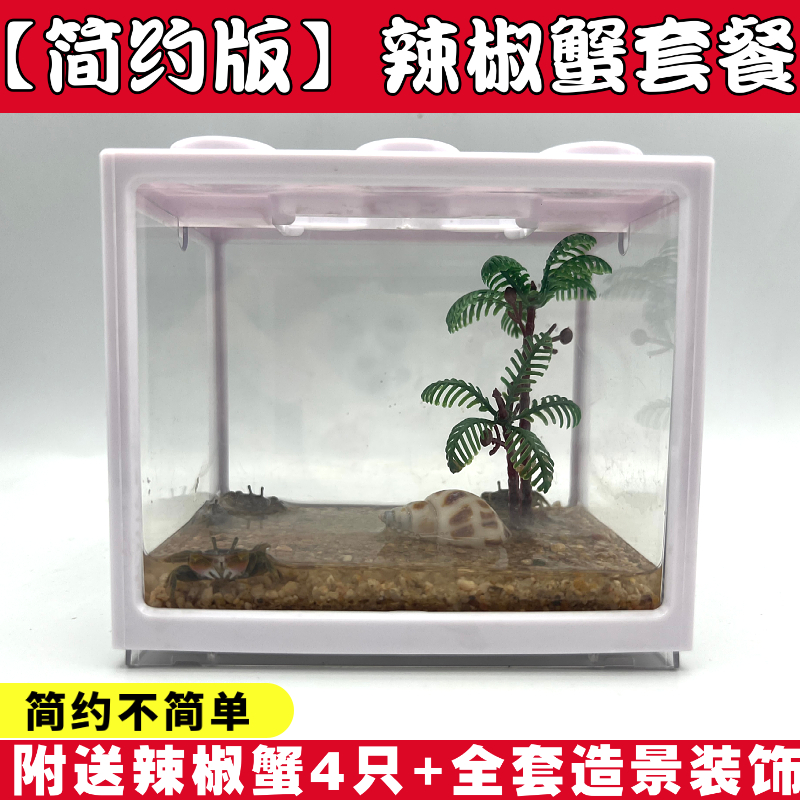 【简约套餐】辣椒蟹饲养缸桌面微景缸迷你辣椒蟹积木盒饲养缸宿舍,淘宝优惠券,粉丝福利购,淘宝优惠卷