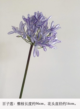 仿真百子莲小众高端花材