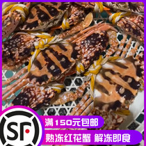 Fujian Red Flower Crab Fresh cooked frozen meat crab ready-to-use Chaoshan frozen crab 2 catty of rustic crab Shuttle Crab Crab Shunfeng