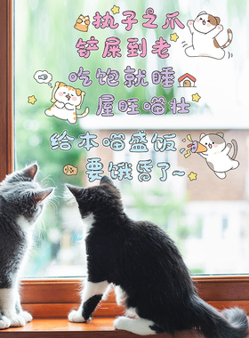 宠物猫猫狗狗猫窝狗窝创意装饰墙面贴画猫砂盆场景布置有趣墙贴纸