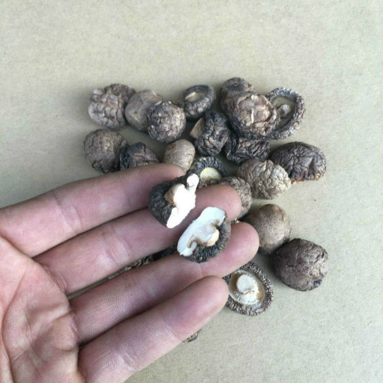 2025年新货香菇干香菇小香菇金钱菇蘑菇香菇干货香菇干货500g一斤,淘宝优惠券,粉丝福利购,淘宝优惠卷