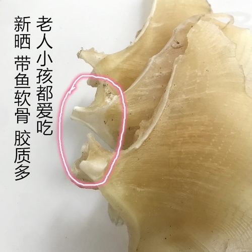 渔民自晒海狗翅浦鱼软骨翅浦鱼嗜鱼翼浦鱼干海鲜煲汤海味干货烧烤 - 图2