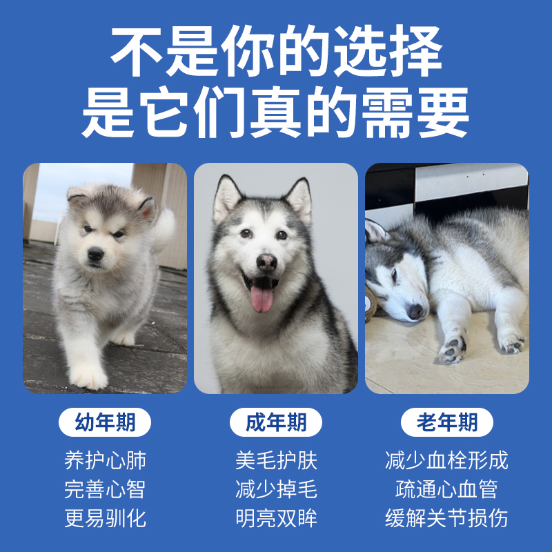 layboo宠物鱼油猫咪狗狗通用美毛防掉毛吃什么高纯度深海犬用鱼油 - 图0