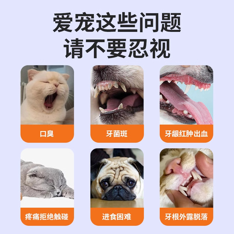 宠物洁牙笔牙刷笔牙膏一体猫狗口腔清洁结石除口臭狗狗猫咪刷牙用,淘宝优惠券,粉丝福利购,淘宝优惠卷
