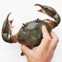 Post-difference-linked net crab weighs on the foot of two