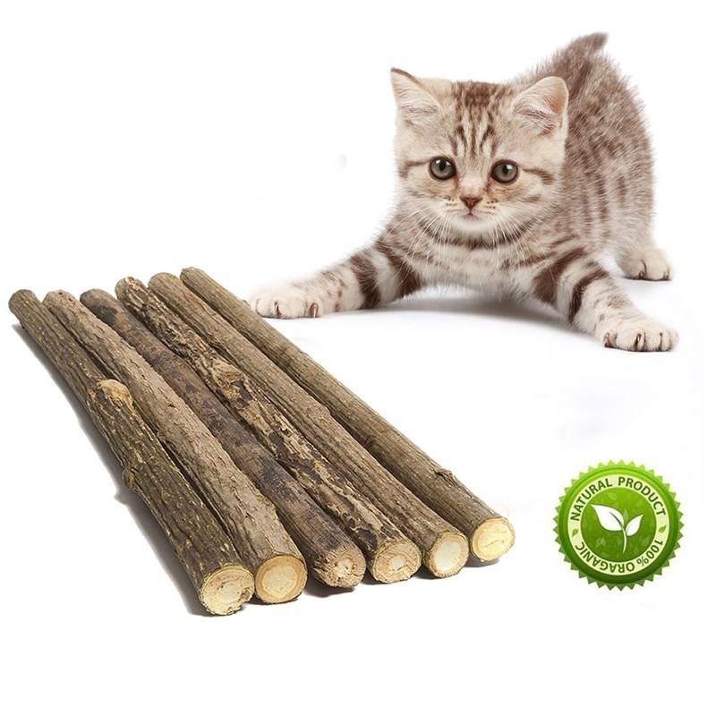 Cat Catnip Sticks Pet Teeth Cleaning Chew Toy for Cats - 图0