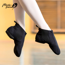 Small Jasmine Jazz Dance Shoes Girls High Help Canvas Dance Shoes Soft Bottom Adults Men and women Practice Shoes Jazz Boots