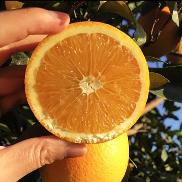 正宗赣南脐橙新鲜水果橙子赣州产地直发 包邮江西应当季整发,淘宝优惠券,粉丝福利购,淘宝优惠卷