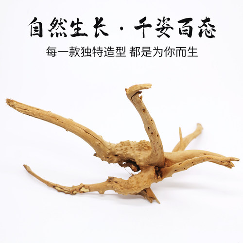 寄居蟹沉木攀爬～杜鹃根过江龙造景躲避虾木装饰摆件爬宠大号小号 - 图2