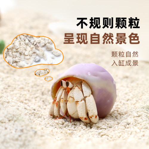 陌派寄居蟹专用沙～天然垫材白沙珊瑚沙菲律宾沙子原生贝壳沙免洗 - 图0