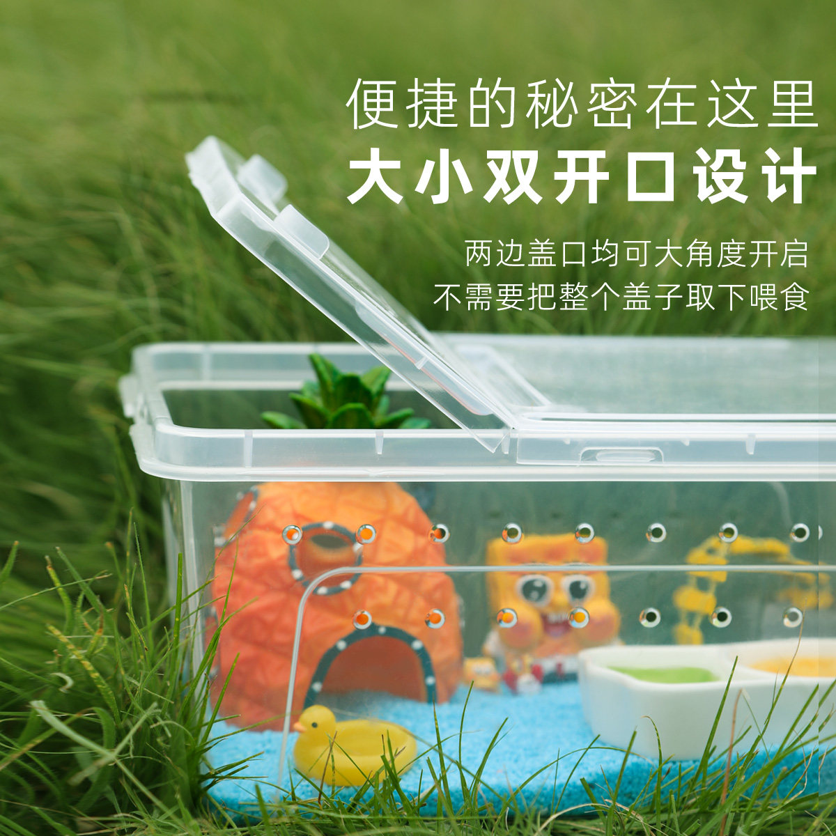 寄居蟹新手饲养箱套餐盒～饲养用品短腕灰白套装桌面宠物儿童礼物,淘宝优惠券,粉丝福利购,淘宝优惠卷