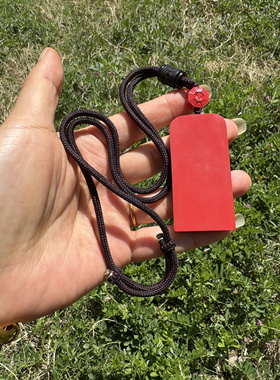 红砂金款五百官首雷火道家王灵