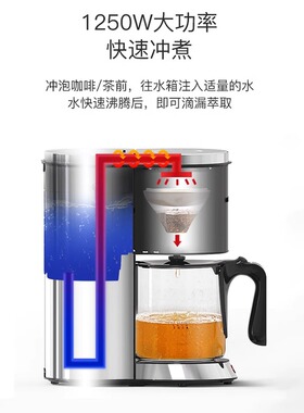 蒸茶器全自动家用玻璃养生咖啡壶